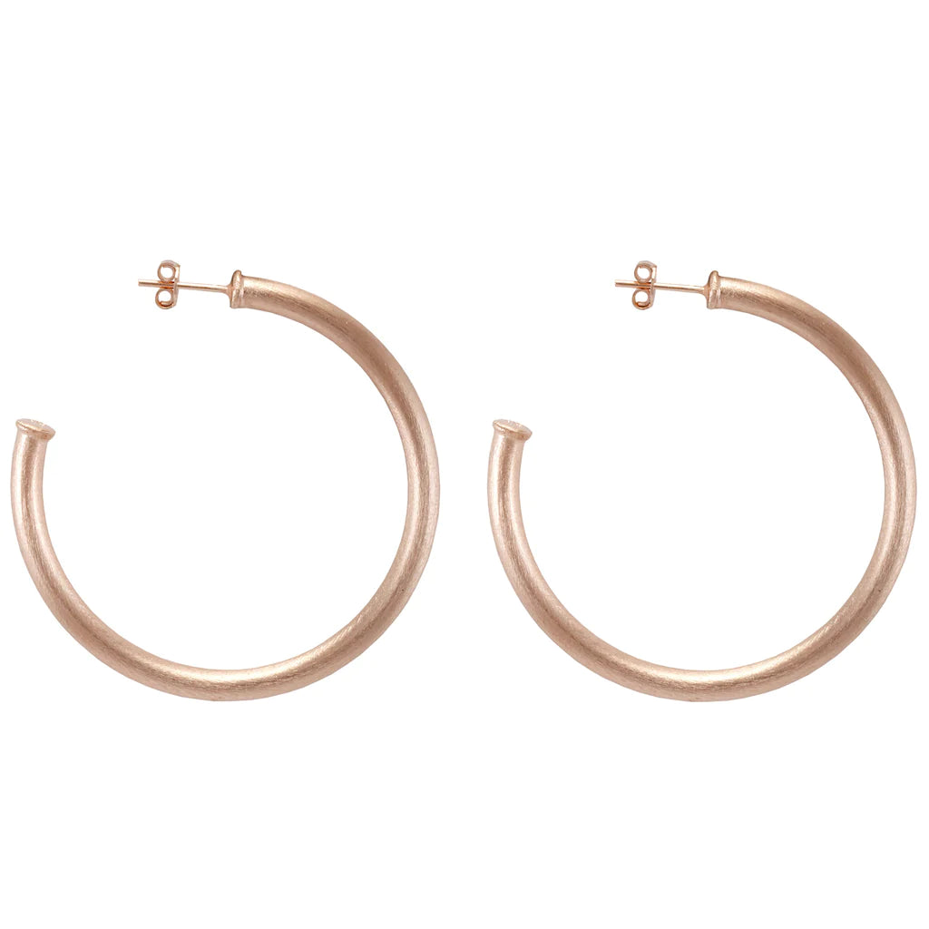 Sheila Fajl: Small Everybody’s Favorite Hoops
