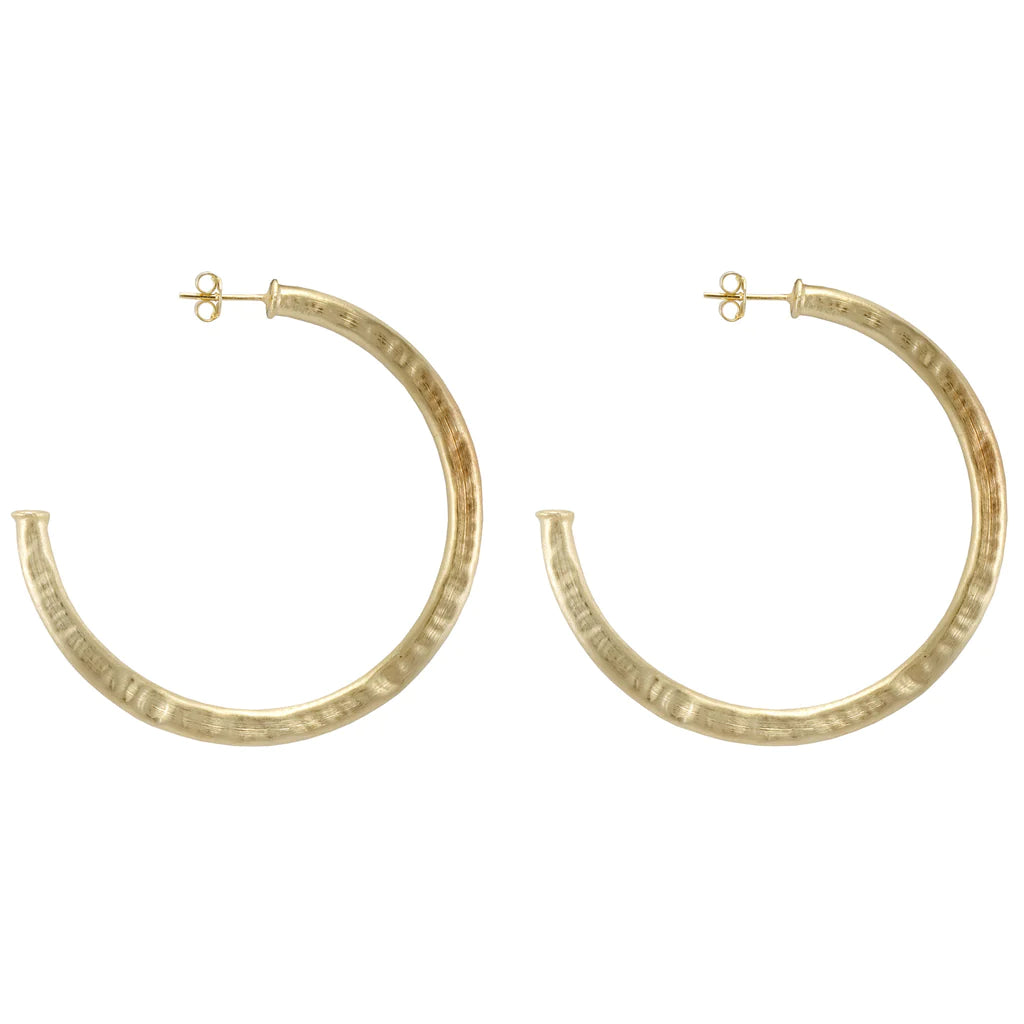 Sheila Fajl: Small Everybody’s Favorite Hoops