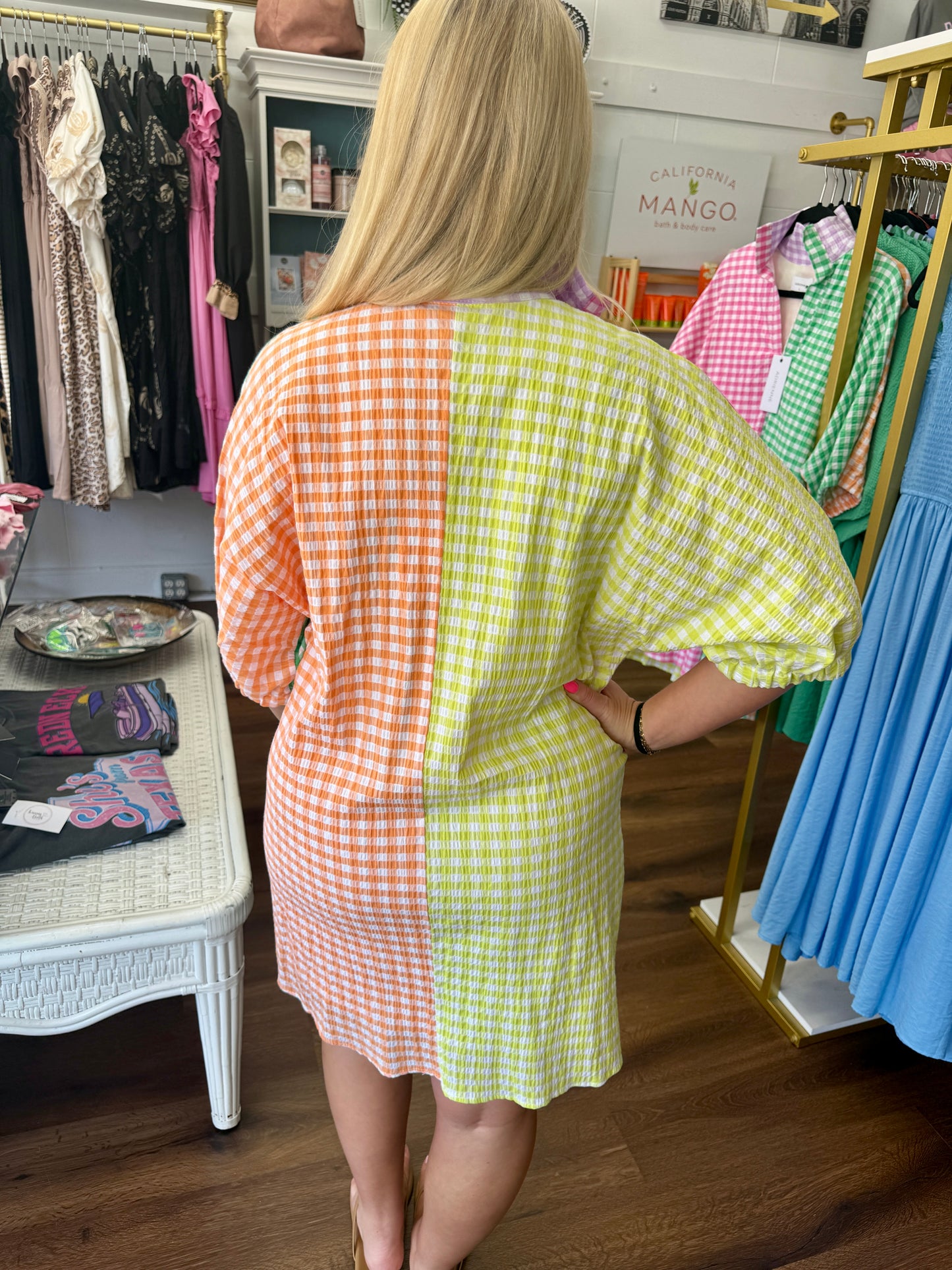 Adrienne Charlotte Gingham Dress